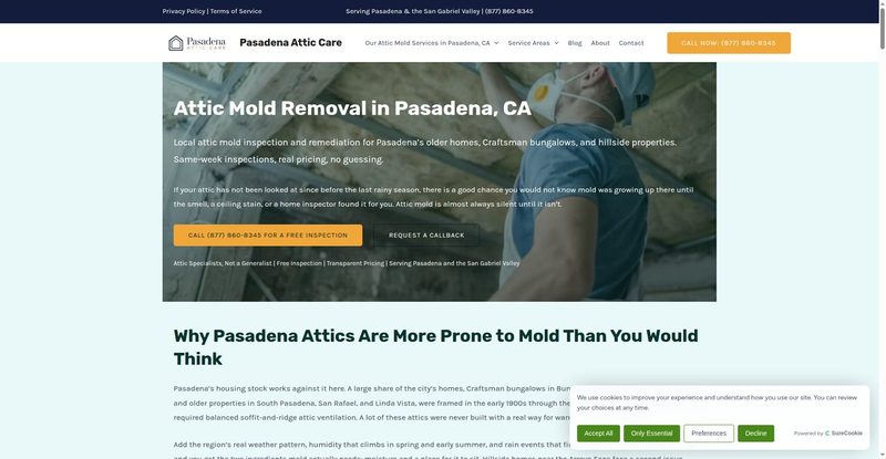 pasadenaatticmoldremoval.com live preview screenshot
